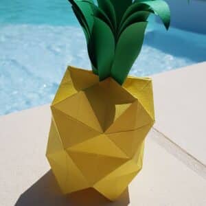 Atelier origami ananas - 12/03/2025 - 14h30