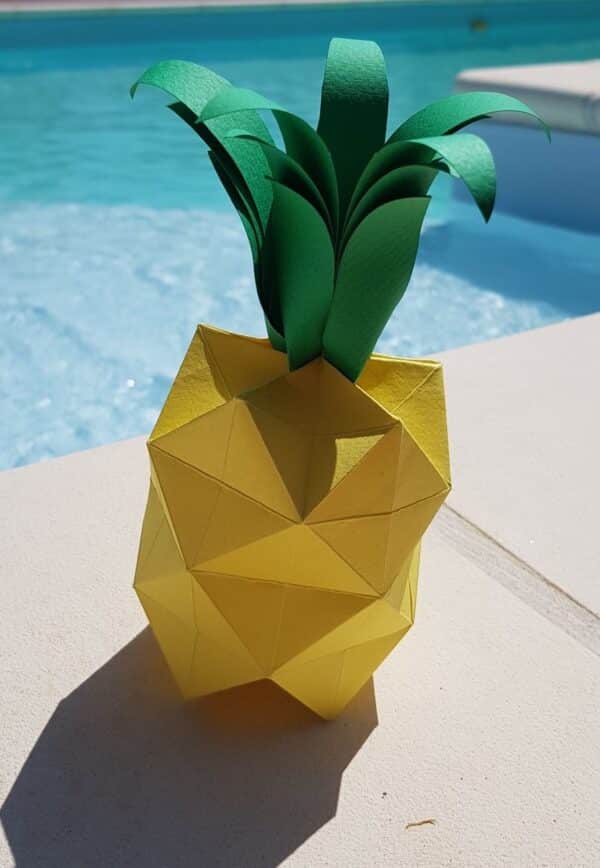 Atelier origami ananas - 12/03/2025 - 14h30