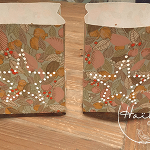Lanterne photophore origami